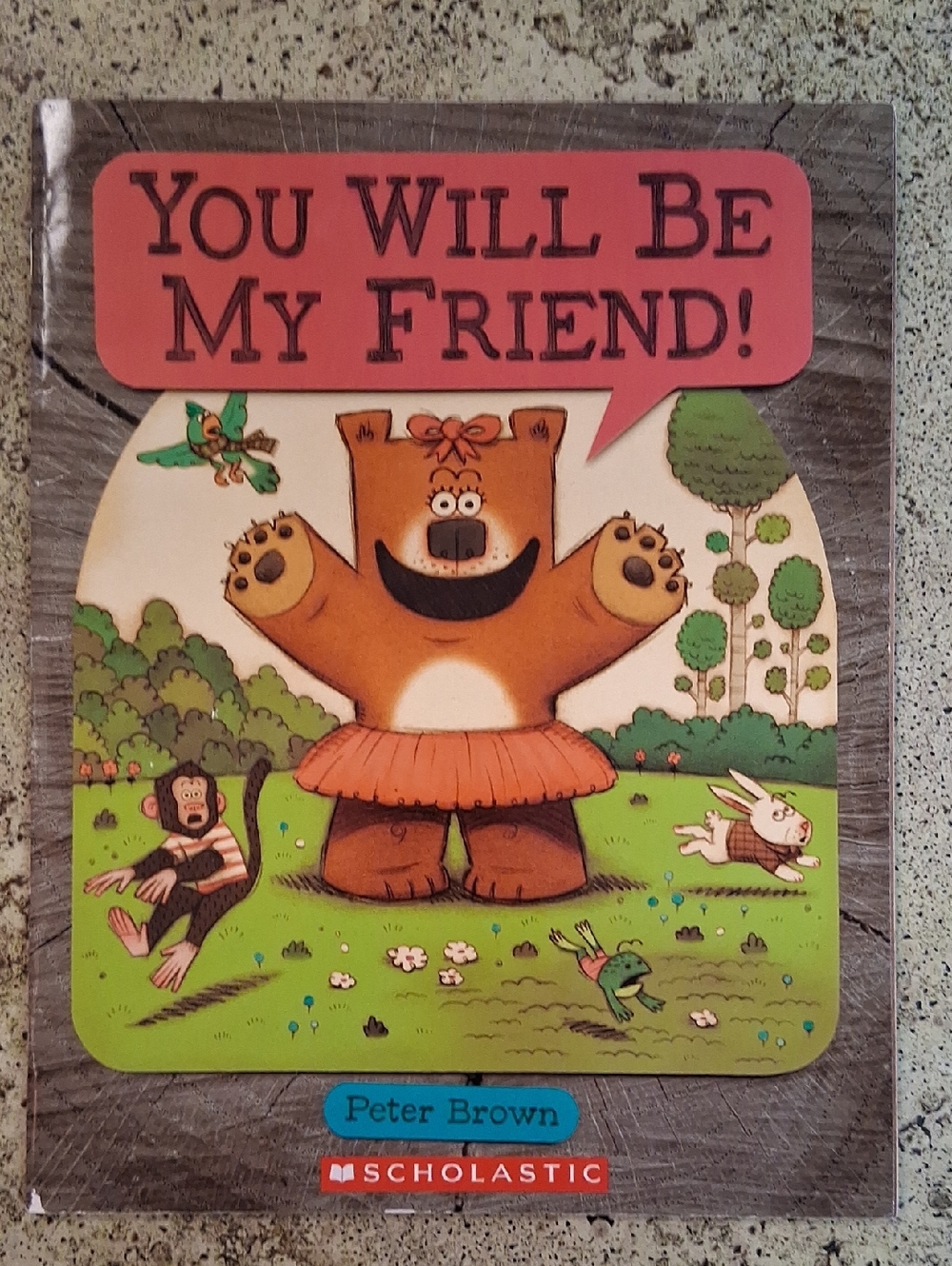 You Will Be My Friend By Peter Brown Children's Picture Book Daycare Preschool